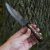Premium Paring or Patch Knife