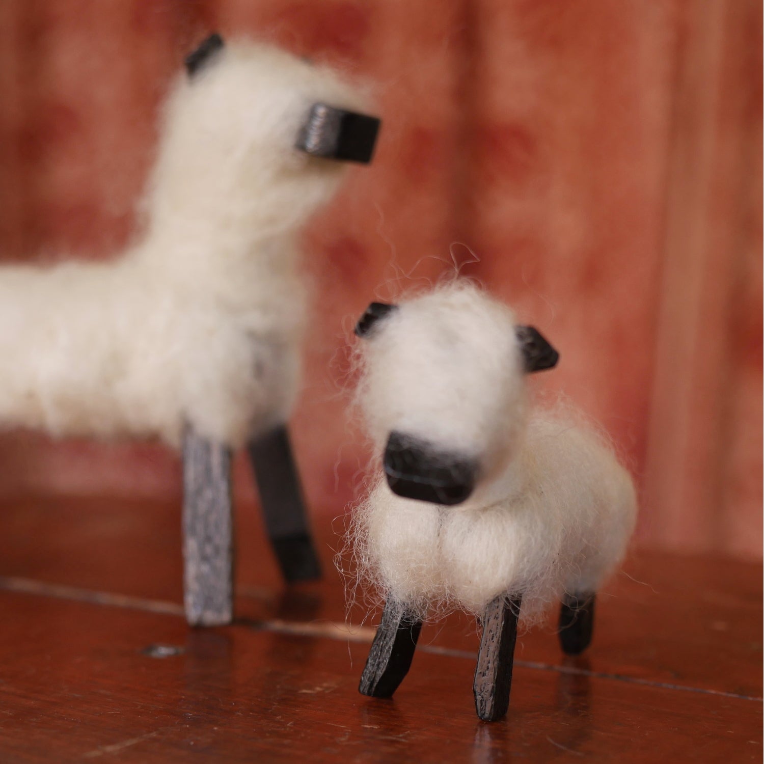 Wool Roving ~ Perendale lambs' wool