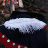 White Ostrich Feather