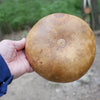Natural Gourd Bowl
